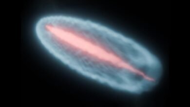 Plasma “Fireballs” at CERN May Explain the Universe’s Missing Light