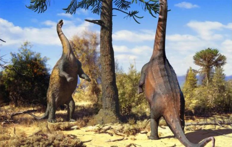 These Giant Long-Necked Dinosaurs Could Stand Upright and Scientists Finally Figured Out Why