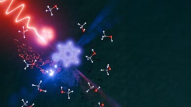 Scientists Made a Flash of Light Disappear Inside a Liquid