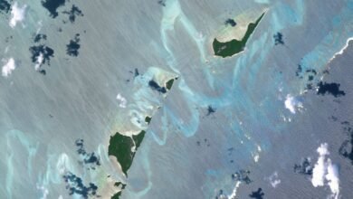 Submerged sandbanks shine like underwater auroras in astronauts view of the Bahamas Earth from space
