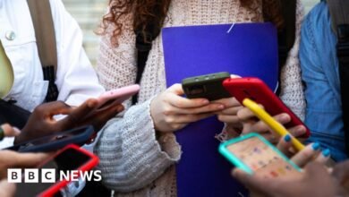 Use film-style age ratings to limit teens social media, say Lib Dems